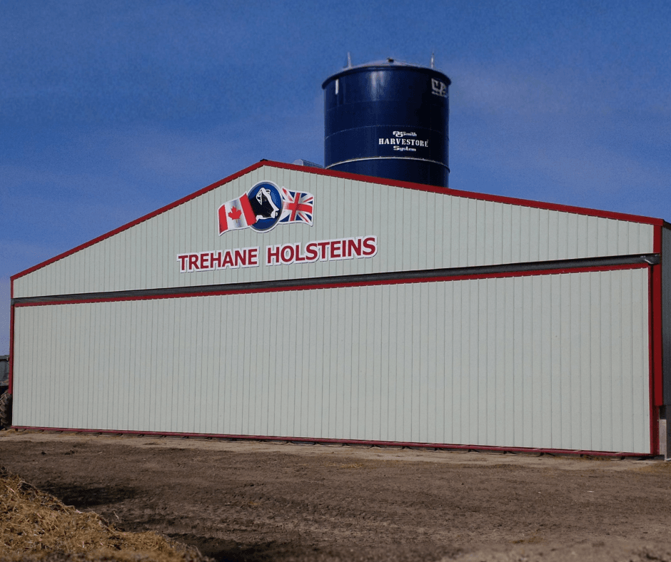 Kleefeld, MB Dairy Farm 72x14-Manitoba