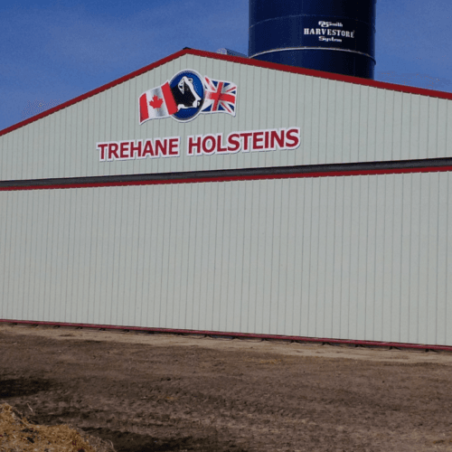 Kleefeld, MB Dairy Farm 72x14-Manitoba