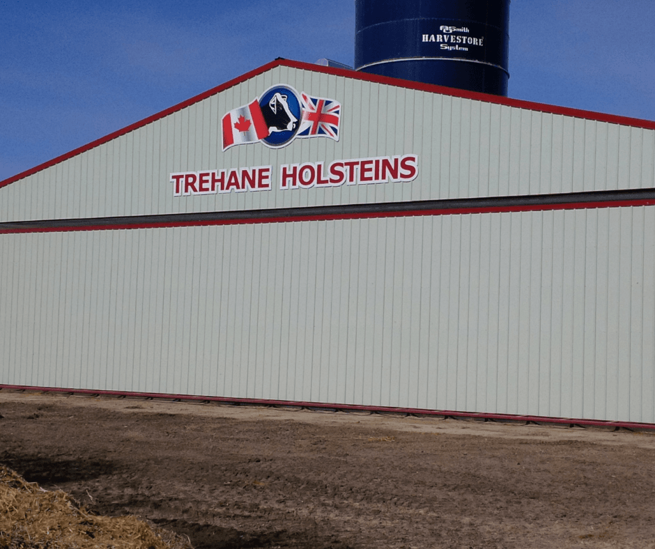 Kleefeld, MB Dairy Farm 72x14-Manitoba