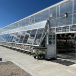 60x12 Greenhouse-Southern Alberta