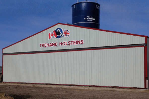 Kleefeld, MB Dairy Farm 72x14-Manitoba