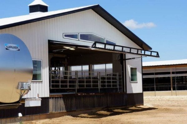 Benitz Dairy - Milking Parlor