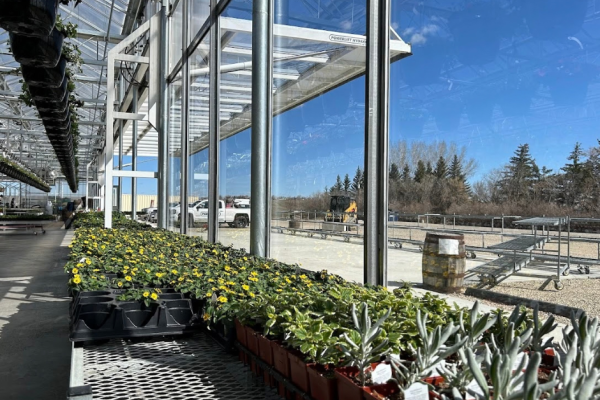 60x12 Greenhouse-Southern Alberta