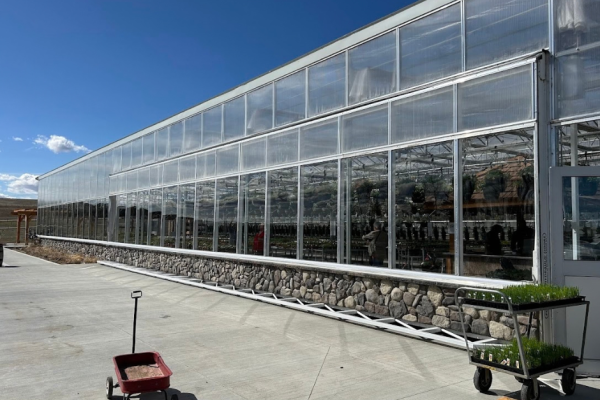 60x12 Greenhouse-Southern Alberta